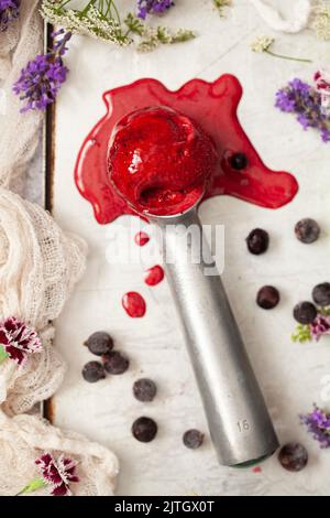 Una palla di sorbetto al ribes nero su una paletta per gelato che si sta sciogliendo. Foto Stock