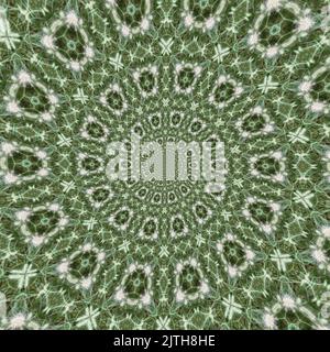 Kaleidoscope background Pattern - Abstract ispirato alla botanica, design a spirale Foto Stock