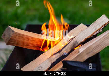 Preparazione di brace per la preparazione di appetitoso barbecue sulla griglia su sfondo verde sfocato erba background.Brilliantamente bruciando tronchi di legno con fla caldo giallo Foto Stock