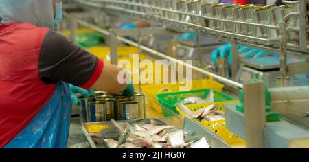 Lavoratore che lavora in fabbrica di cibo in scatola. Industria alimentare. Fabbrica di pesce in scatola. Lavoratore riempie sardine in una lattina. Lavoratore in linea di produzione di lavorazione di cibo. Foto Stock