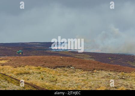 Bruciare erica controllata su Grouse Moorland gestito a Swaledale, Yorkshire Dales e realizzato per incoraggiare la rigenerazione di nuovi germogli erica. Foto Stock