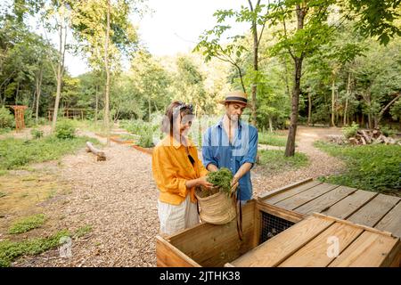 Coppia gettando erba tagliata a composto bidone di legno Foto Stock