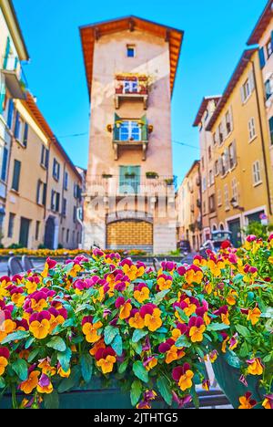 Le pansie dai colori luminosi in pentole davanti alle case medievali del centro storico di Brescia, Italia Foto Stock