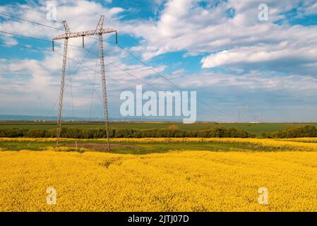 Torri di trasmissione Power line in campo colto di colza nelle giornate di sole primaverili Foto Stock