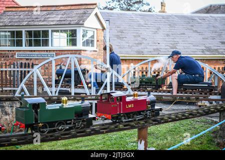 © concesso in licenza a London News Pictures. 30/08/2020. Swansea, Regno Unito. La ferrovia in miniatura Derwen Fawr, situata dietro i giardini in un'area residenziale di Swansea, è stata sede della Swansea Society of Model Engineers sin dagli anni '30. Le miniature sono riproduzioni di motori reali e sono alimentate a vapore, portando i passeggeri in giro per la pista da cinque pollici. La ferrovia è gestita da un gruppo di volontari dedicati e ogni denaro raccolto viene donato alla carità. Robert Melen/LNP Foto Stock