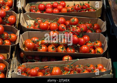 Pomodori freschi rossi in scatole al banco del supermercato. Pomodori ciliegini su rami in scatole di carta artigianale in vendita Foto Stock