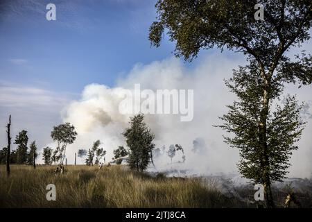 GRIENDTSVEEN - Netherlands, 2022-08-31 09:31:57 GRIENDTSVEEN - Vigili del fuoco in azione durante un grande incendio nella riserva naturale di De Peel. La dimensione del fuoco è di circa 2 ettari. ANP ROB ENGELAAR olanda fuori - belgio fuori Foto Stock