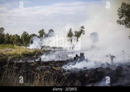 GRIENDTSVEEN - Netherlands, 2022-08-31 09:34:48 GRIENDTSVEEN - Vigili del fuoco in azione durante un grande incendio nella riserva naturale di De Peel. La dimensione del fuoco è di circa 2 ettari. ANP ROB ENGELAAR olanda fuori - belgio fuori Foto Stock