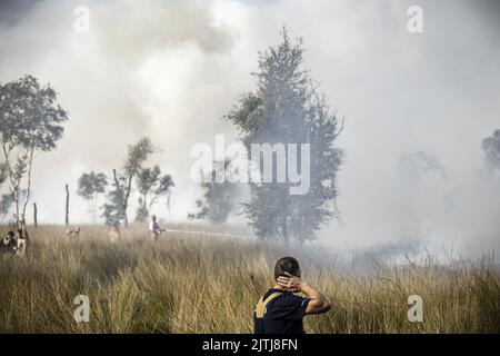 GRIENDTSVEEN - Olanda, 2022-08-31 09:32:47:00 Vigili del fuoco in azione durante un grande incendio nella riserva naturale De Peel. La dimensione del fuoco è di circa 2 ettari. A Griendtsveen, Paesi Bassi, 31 agosto 2022. ANP ROB ENGELAAR olanda fuori - belgio fuori Foto Stock