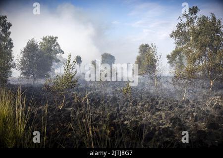 GRIENDTSVEEN - Netherlands, 2022-08-31 09:24:57 GRIENDTSVEEN - Vigili del fuoco in azione durante un grande incendio nella riserva naturale di De Peel. La dimensione del fuoco è di circa 2 ettari. ANP ROB ENGELAAR olanda fuori - belgio fuori Foto Stock