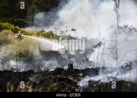 GRIENDTSVEEN - Netherlands, 2022-08-31 09:45:39 GRIENDTSVEEN - Vigili del fuoco in azione durante un grande incendio nella riserva naturale di De Peel. La dimensione del fuoco è di circa 2 ettari. ANP ROB ENGELAAR olanda fuori - belgio fuori Foto Stock