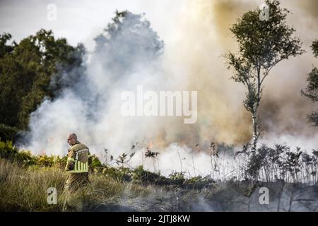 GRIENDTSVEEN - Netherlands, 2022-08-31 09:44:49 GRIENDTSVEEN - Vigili del fuoco in azione durante un grande incendio nella riserva naturale di De Peel. La dimensione del fuoco è di circa 2 ettari. ANP ROB ENGELAAR olanda fuori - belgio fuori Foto Stock