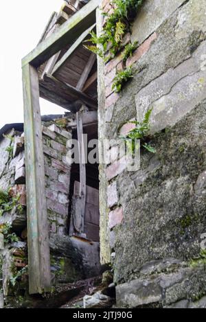 Porta finestra rotta su un edificio molto vecchio fattoria Foto Stock