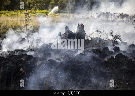 GRIENDTSVEEN - Netherlands, 2022-08-31 09:37:49 GRIENDTSVEEN - Vigili del fuoco in azione durante un grande incendio nella riserva naturale di De Peel. La dimensione del fuoco è di circa 2 ettari. ANP ROB ENGELAAR olanda fuori - belgio fuori Foto Stock