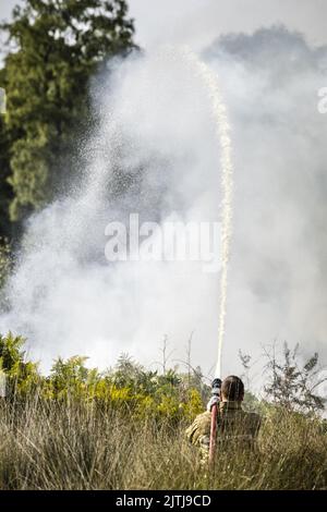 GRIENDTSVEEN - Netherlands, 2022-08-31 09:40:05 GRIENDTSVEEN - Vigili del fuoco in azione durante un grande incendio nella riserva naturale di De Peel. La dimensione del fuoco è di circa 2 ettari. ANP ROB ENGELAAR olanda fuori - belgio fuori Foto Stock