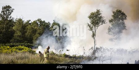 GRIENDTSVEEN - Netherlands, 2022-08-31 09:44:02 GRIENDTSVEEN - Vigili del fuoco in azione durante un grande incendio nella riserva naturale di De Peel. La dimensione del fuoco è di circa 2 ettari. ANP ROB ENGELAAR olanda fuori - belgio fuori Foto Stock