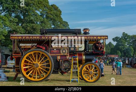 Fiera del vapore di Salop/Shrewsbury, che si tiene all'Onslow Park Shrewsbury. Un'ampia varietà di veicoli a vapore e vintage Foto Stock