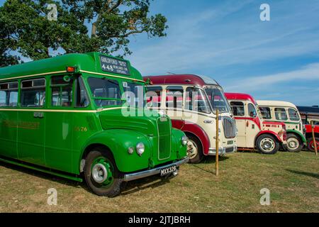 Fiera del vapore di Salop/Shrewsbury, che si tiene all'Onslow Park Shrewsbury. Un'ampia varietà di veicoli a vapore e vintage Foto Stock