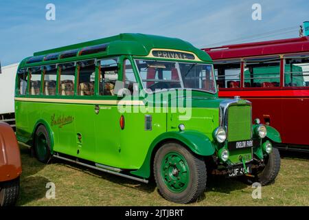 Fiera del vapore di Salop/Shrewsbury, che si tiene all'Onslow Park Shrewsbury. Un'ampia varietà di veicoli a vapore e vintage Foto Stock