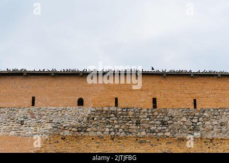 Lida, Bielorussia. Aprile 2022. Piccioni sulla parete del castello di Leeds Foto Stock