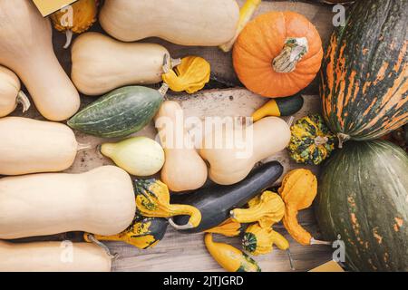 Zucche decorative all'aperto sul terreno. Primo piano, messa a fuoco selettiva. Halloween e decorazione del Ringraziamento per la casa e concetto di festa Foto Stock