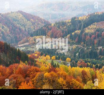 Vista autunnale colorata della foresta autunnale con alberi bellissimi e luminosi in un villaggio di montagna Foto Stock