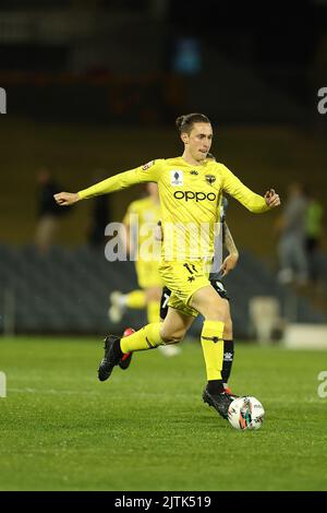 31st agosto 2022; Campbelltown Sports Stadium, Leumeah, New South Wales, Australia; Australia A League Cup, quarto di finale, Macarthur FC contro Wellington Phoenix: Bozhidar Kraev di Wellington Phoenix attacca la difesa del Macarthur FC Foto Stock