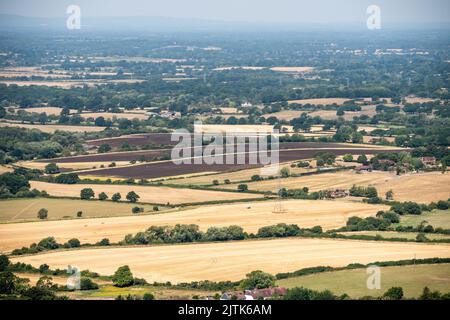 Brighton, 12th 2022 agosto: La scarpata piena, come si vede dalla Devil's Dyke vicino a Brighton Foto Stock