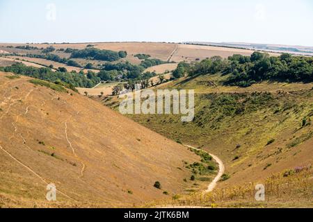 Brighton, 12th 2022 agosto: La scarpata piena, come si vede dalla Devil's Dyke vicino a Brighton Foto Stock
