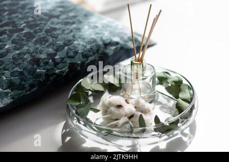 diffusore di canna aromatica, fiori di cotone ed eucalipto Foto Stock
