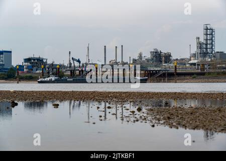 Reno vicino a Emmerich, acqua estremamente bassa, livello del Reno a 0 cm, tendenza alla caduta, sfondo dell'impianto chimico KLK Emmerich, per prodotti oleochimici Foto Stock