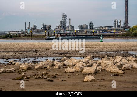 Reno vicino a Emmerich, acqua estremamente bassa, livello del Reno a 0 cm, tendenza alla caduta, sfondo dell'impianto chimico KLK Emmerich, per prodotti oleochimici Foto Stock