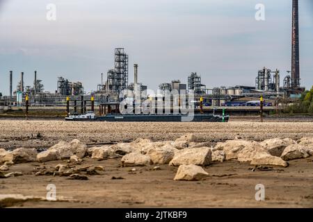 Reno vicino a Emmerich, acqua estremamente bassa, livello del Reno a 0 cm, tendenza alla caduta, sfondo dell'impianto chimico KLK Emmerich, per prodotti oleochimici Foto Stock