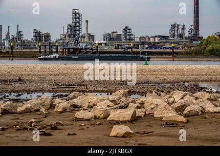 Reno vicino a Emmerich, acqua estremamente bassa, livello del Reno a 0 cm, tendenza alla caduta, sfondo dell'impianto chimico KLK Emmerich, per prodotti oleochimici Foto Stock