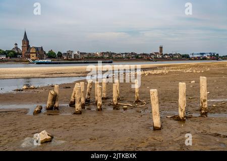 Reno vicino Emmerich, acqua estremamente bassa, livello del Reno a 0 cm, tendenza alla caduta, NRW, Germania Foto Stock