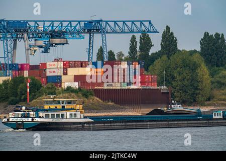 Reno vicino Emmerich, acqua estremamente bassa, livello del Reno a 0 cm, tendenza alla caduta, nave container a carico ridotto, di fronte al Reno-Waal di Contargo Foto Stock