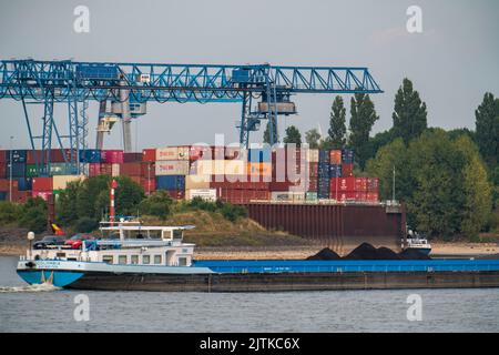 Reno vicino Emmerich, acqua estremamente bassa, livello del Reno a 0 cm, tendenza alla caduta, nave container a carico ridotto, di fronte al Reno-Waal di Contargo Foto Stock