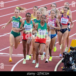 Linden Hall, Gudaf Tsegay e Freweyni Hailu gareggiano nella semifinale femminile del 1500m ai Campionati mondiali di atletica, Hayward Field, Eugene, OR Foto Stock