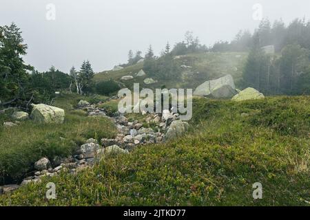 KARPACZ, POLONIA - 20 AGOSTO 2022: Montagne Karkonosze, paesaggio montano vicino al 'laghetto' Foto Stock