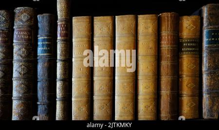 Libri antichi che riposano in una vecchia biblioteca - John Gollop Foto Stock