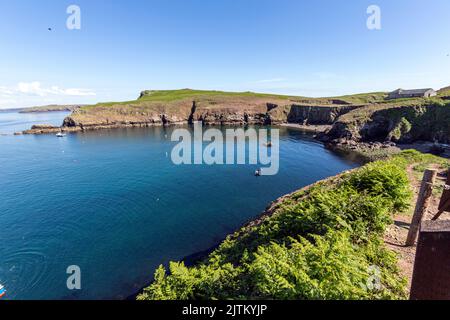 North Haven mostra The Warden's House, Skomer Island, Pembrokeshire, Galles, Regno Unito Foto Stock