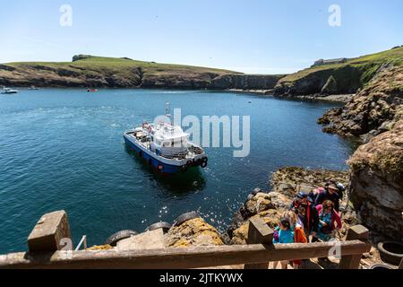 North Haven mostra The Warden's House, Skomer Island, Pembrokeshire, Galles, Regno Unito Foto Stock