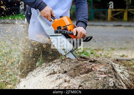 A seguito di una violenta tempesta, un lavoratore municipale taglia un albero rotto Foto Stock