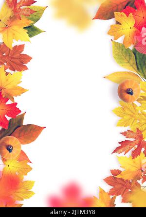 Foglie colorate autunnali isolate su sfondo bianco. Concetto autunnale. Foto Stock