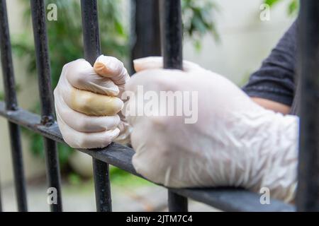 Mani che tengono una griglia durante la quarantena contro il coronavirus a Rio de Janeiro. Foto Stock