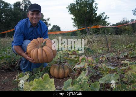 un contadino sorridente in un orto, che mostra una grande zucca appena raccolta. Riferimento alla vendita di ortaggi in occasione del Halloween Foto Stock