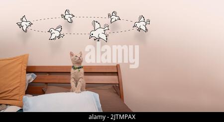 Piccolo gattino marrone chiaro in piedi sul cuscino del letto guardando verso l'alto i piccoli uccelli che girano le loro teste disegnate in linea nera Foto Stock