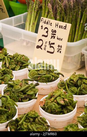 Contenitori in polistirolo bianco con frutteto biologico Violinae - teste in vendita al mercato all'aperto, Byward Market, Ottawa, Ontario, Canada. Foto Stock