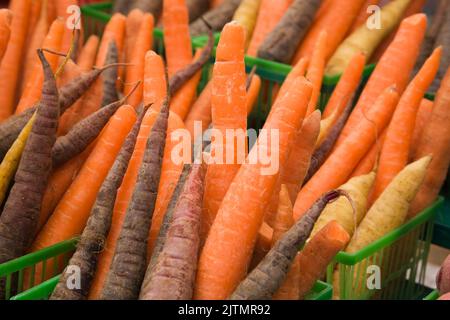 Cesti di plastica verde con carota Daucus biologica appena raccolta - carote in vendita al mercato all'aperto. Foto Stock