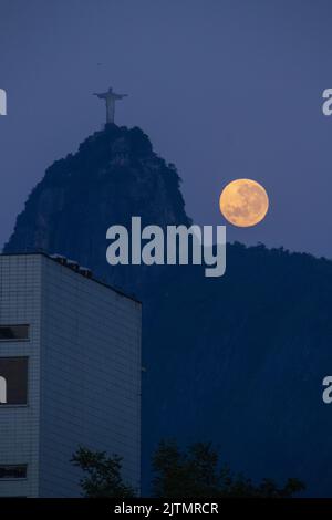 Moesordio a Rio de Janeiro, Brasile - 2 ottobre 2020: Moesordio accanto alla statua del Cristo Redentore a Rio de Janeiro. Foto Stock